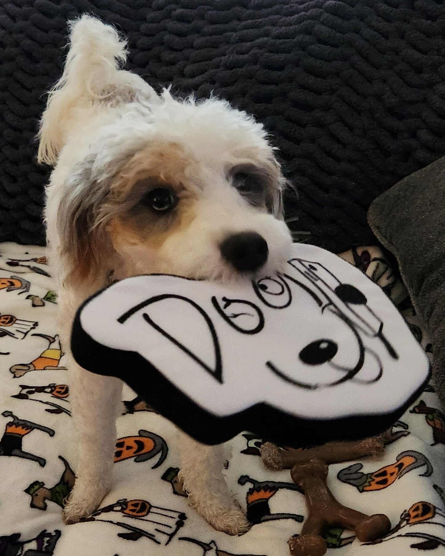 TDTM Dog Toy
